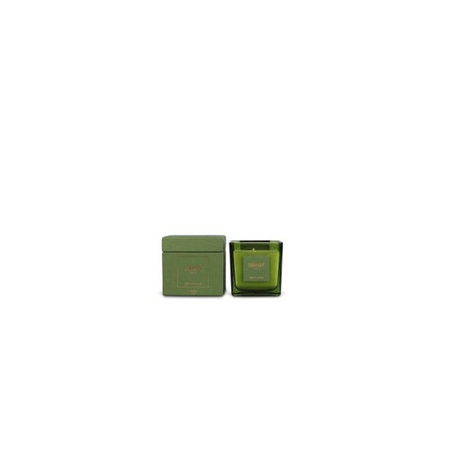S|P Collection Vela aromática 220 g Forest Gallery