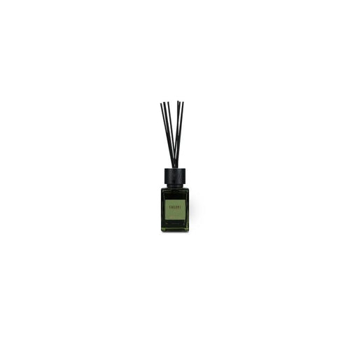 S|P Collection Varillas aromáticas 120ml Forest Gallery